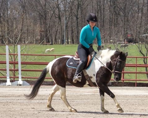 Rita, a 9-year-old Black Tobiano American Paint Horse mare for sale