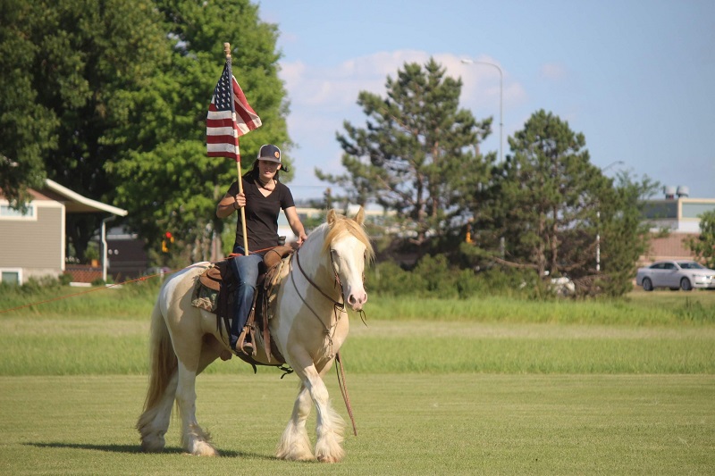 Gold, a 10-year-old Champagne Tobiano Gypsy Vanner gelding for sale