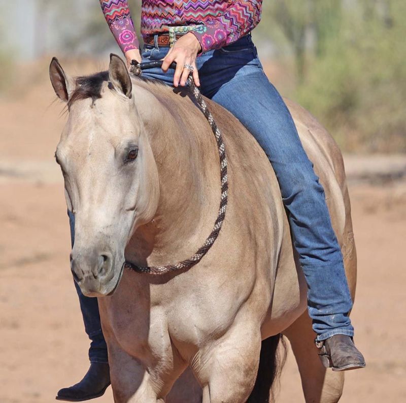Mariah, a 9-year-old Buckskin American Quarter Horse mare for sale