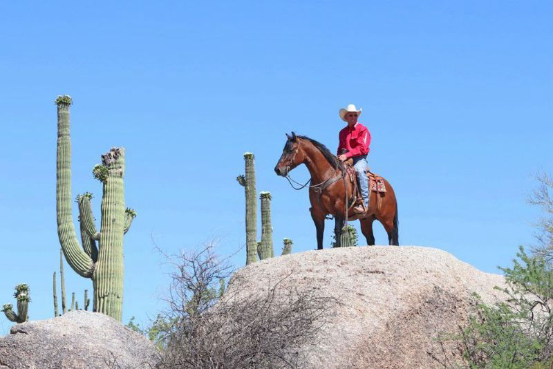 Red Bloom, a 9-year-old Dun American Quarter Horse mare for sale
