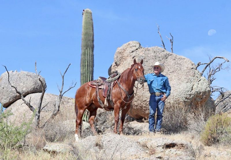 Cupid, a 6-year-old Sorrel American Quarter Horse gelding for sale